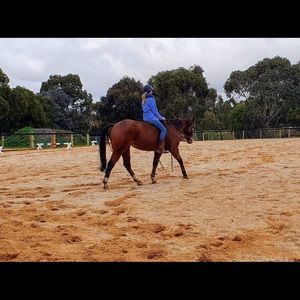 Meet your Posher, Laura